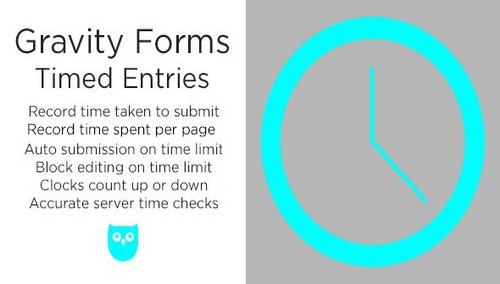 gravity-forms-timed-entries