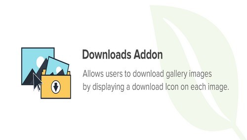 Envira Gallery - Downloads Addon