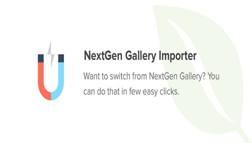 Envira Gallery - NextGEN Importer Addon