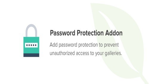 Envira Gallery - Password Protection Addon