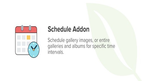 Envira Gallery - Schedule Addon