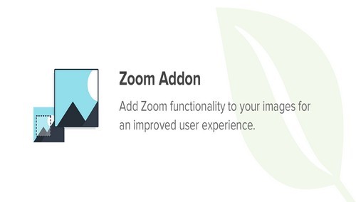 Envira Gallery - Zoom Addon