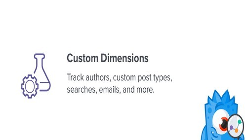 MonsterInsights - Dimensions Addon