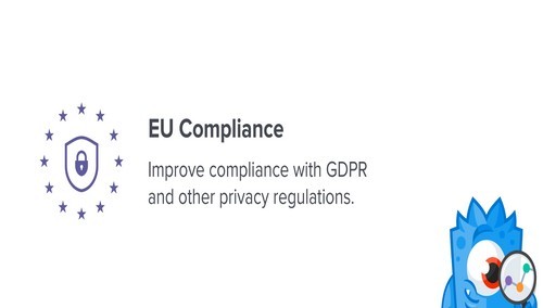 MonsterInsights - EU Compliance Addon
