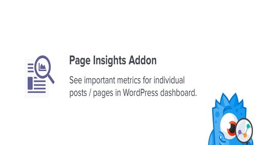 MonsterInsights - Page Insights Addon