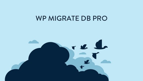WP Migrate DB Pro & Addons