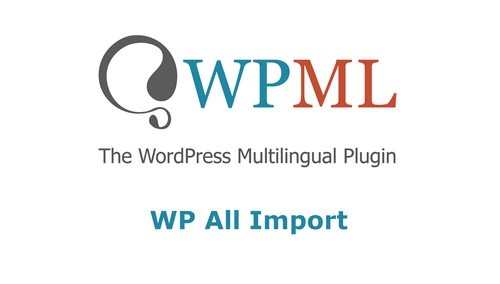 WPML All Import Add-on