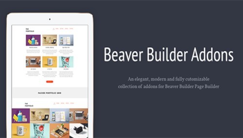 Livemesh Addons for Beaver Builder Pro