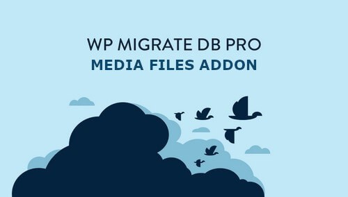 WP Migrate DB Pro Media Files Addon