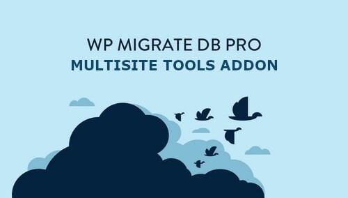WP Migrate DB Pro Multisite Tools Addon