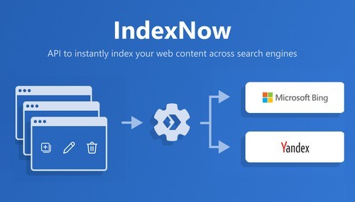All In One SEO Pack Pro - IndexNow