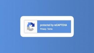 Gravity Forms reCAPTCHA Add-On