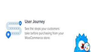 MonsterInsights - User Journey Addon