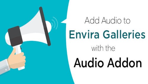 Envira Gallery - Audio Addon