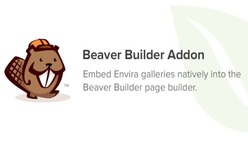 Envira Gallery - Beaver Builder Addon