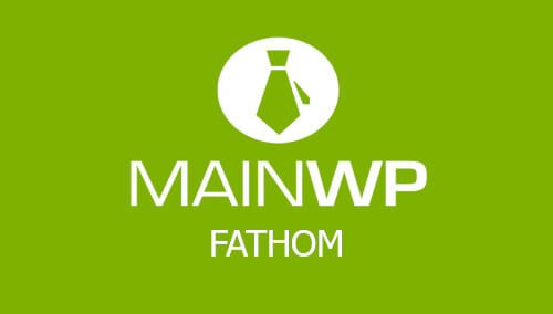 MainWP Fathom