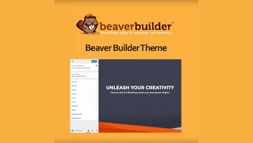 beaver-builder-theme