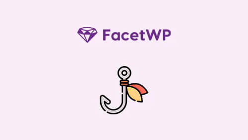 facetwp-custom-hooks